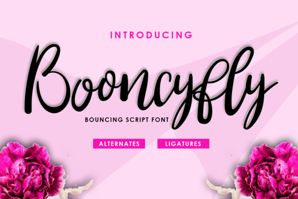 Booncyfly Font - Featured Image