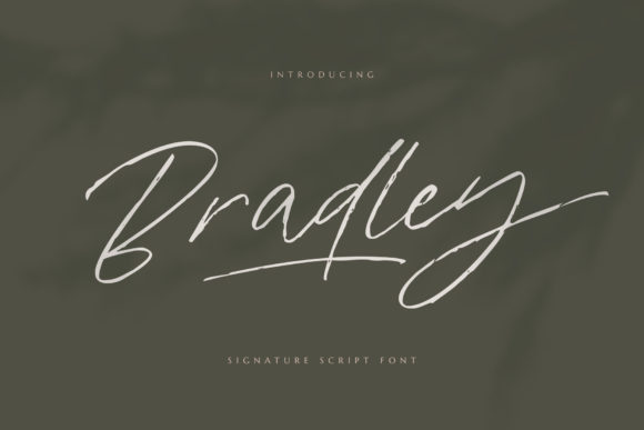 Bradley Font - Featured Image