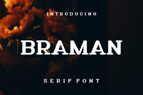 Braman Font - Featured Image