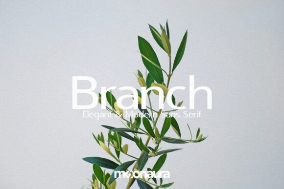 Branch Font - Featured Image