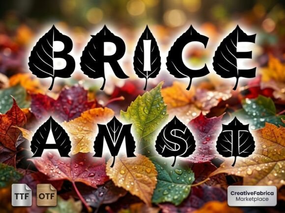 Brice Font - Featured Image