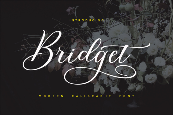Bridget Script Font - Featured Image