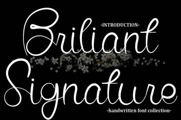 Briliant Signature Font - Featured Image