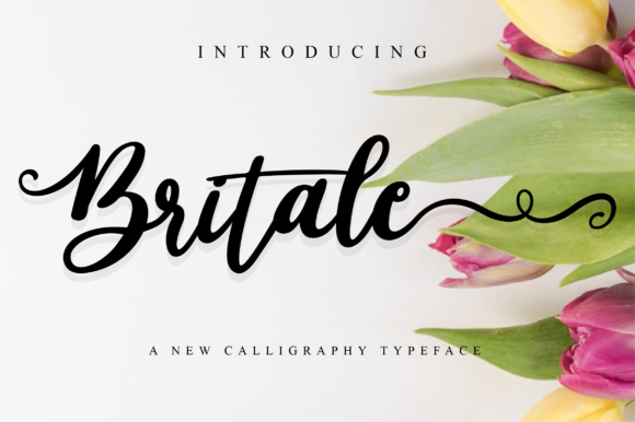 Britale Script Font - Featured Image