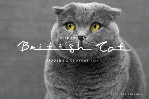 British Cat Font - Featured Image