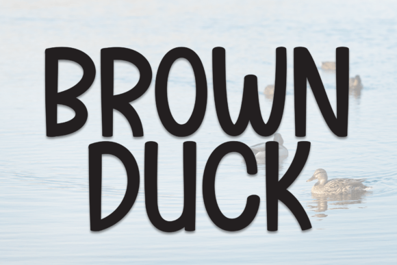 Brown Duck Font - Featured Image