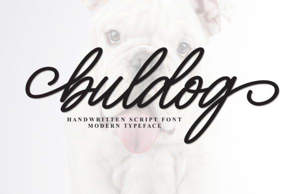 Buldog Font - Featured Image