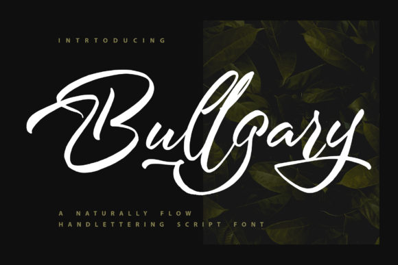 Bullgary Font - Featured Image