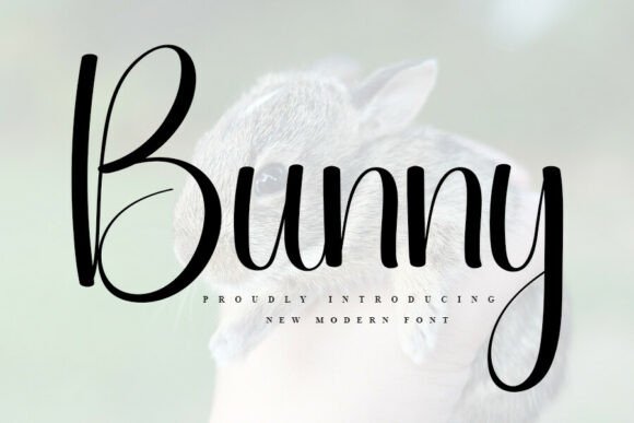 Bunny Font - Featured Image