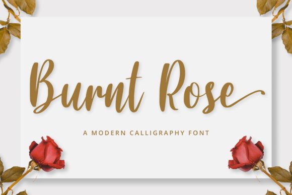 Burnt Rose Font - Featured Image
