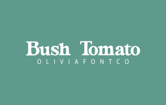 Bush Tomato Font - Featured Image