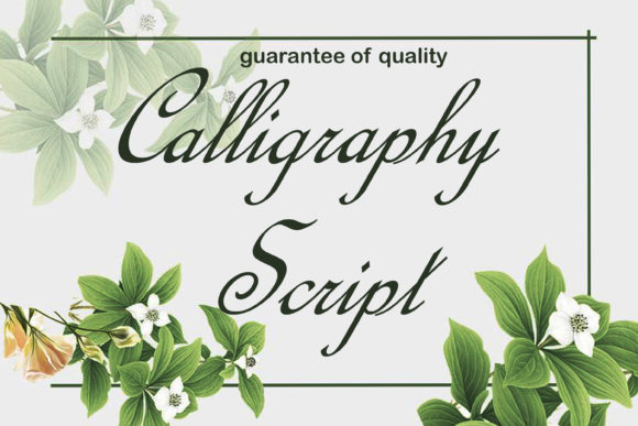 Calligraphy Script Font - Featured Image