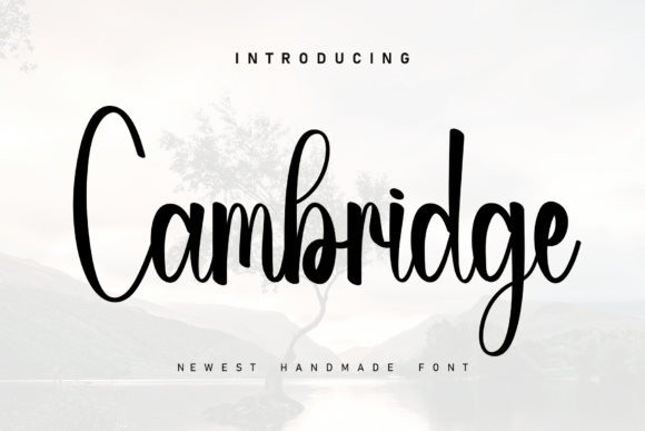 Cambridge Font - Featured Image