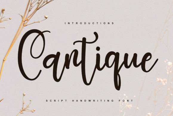 Cantique Font - Featured Image