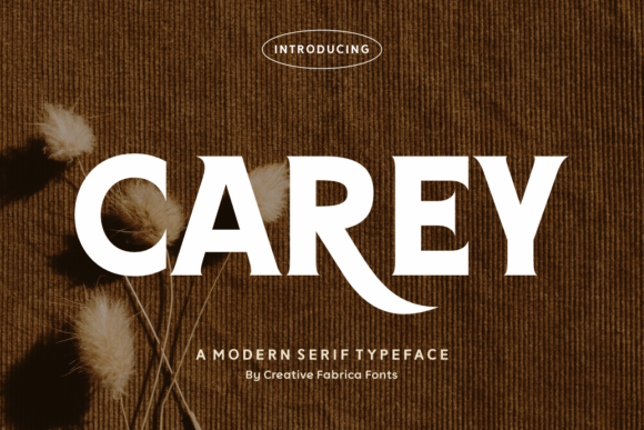 Carey Font - Featured Image