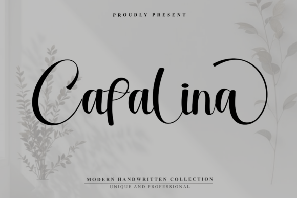 Catalina Font - Featured Image