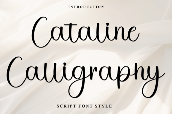 Cataline Calligraphy Font - Featured Image