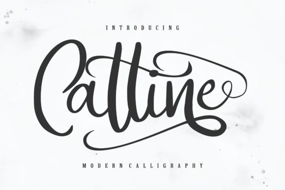 Catline Font - Featured Image