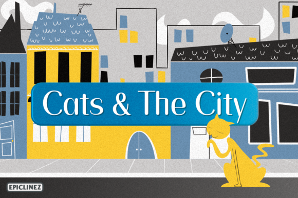 Cats and the City Font - Featured Image