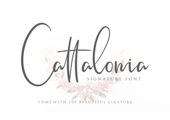 Cattalonia Font - Featured Image