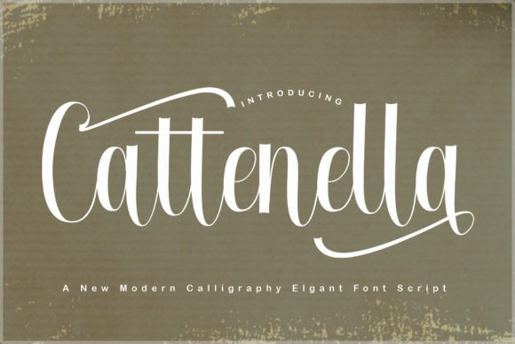 Cattenella Font - Featured Image
