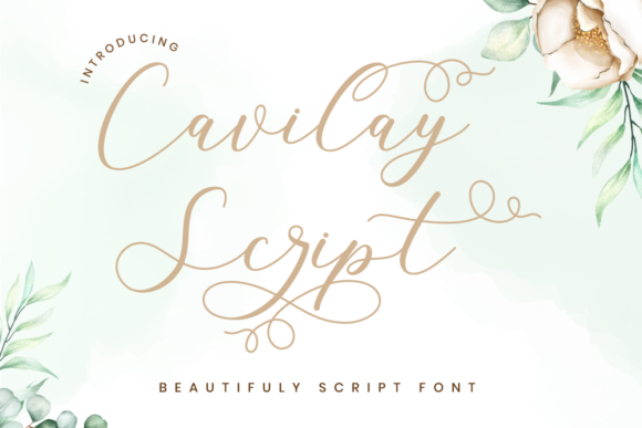 Cavilay Script Font - Featured Image