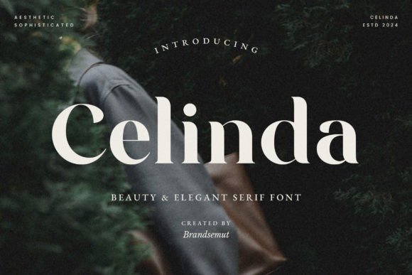 Celinda Font - Featured Image