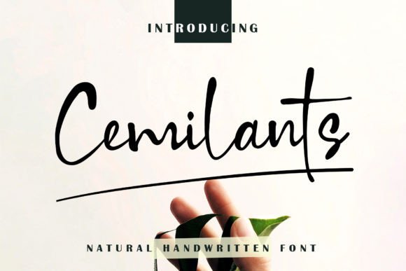 Cemilants Font - Featured Image