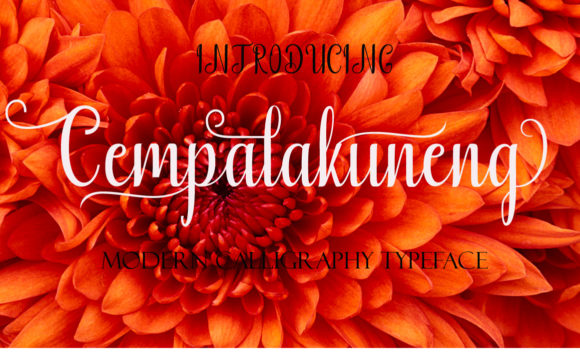Cempalakuneng Font - Featured Image