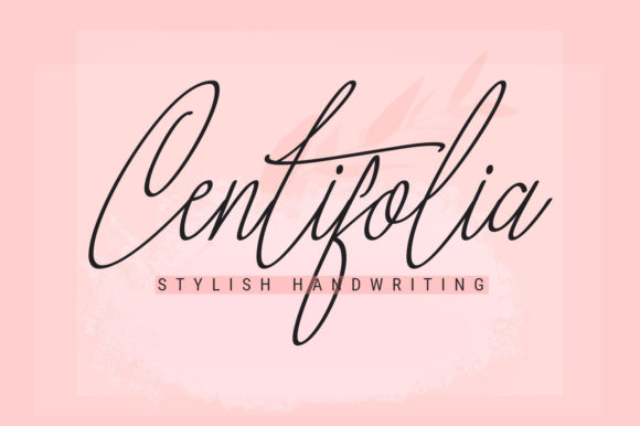 Centifolia Font - Featured Image