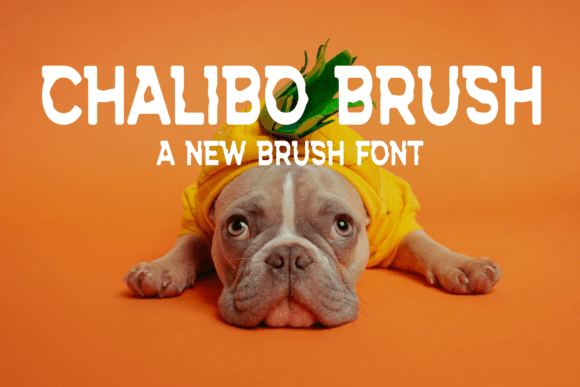 Chalibo Brush Font - Featured Image