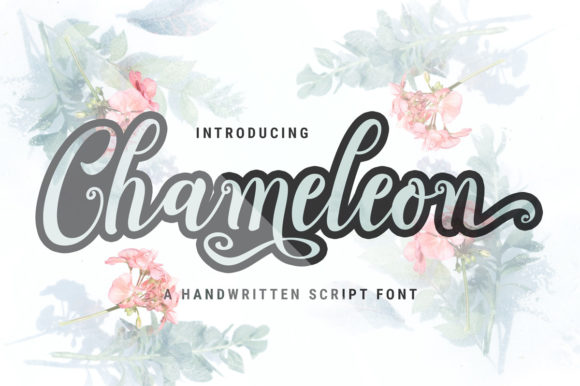Chameleon Script Font - Featured Image