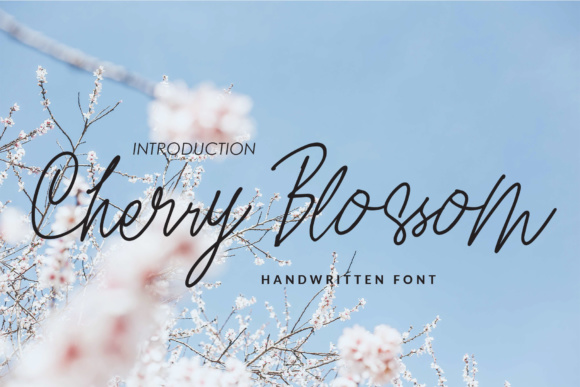 Cherry Blossom Font - Featured Image