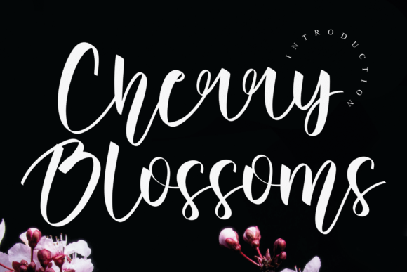 Cherry Blossoms Font - Featured Image