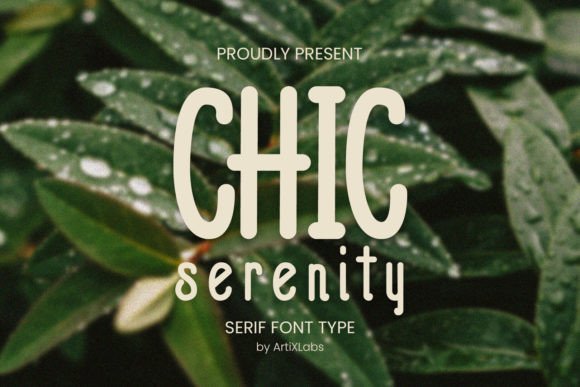 Chic Serenity Font - Featured Image
