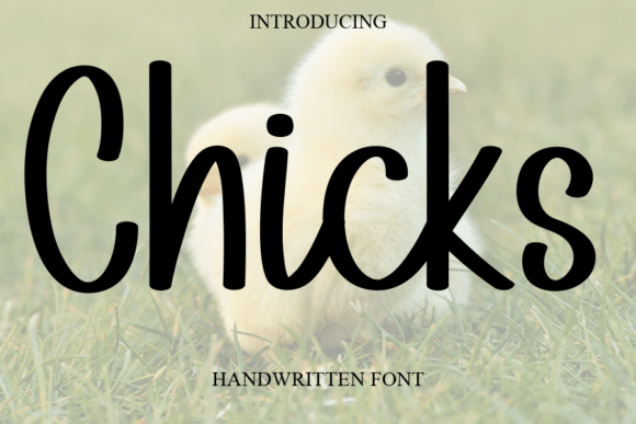 Chicks Font - Featured Image