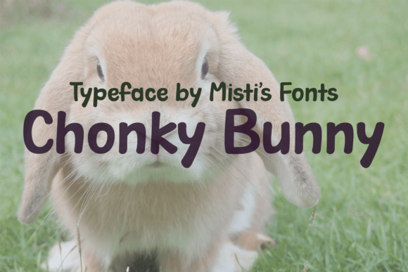 Chonky Bunny Font - Featured Image