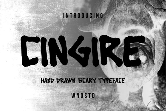 Cingire Font - Featured Image