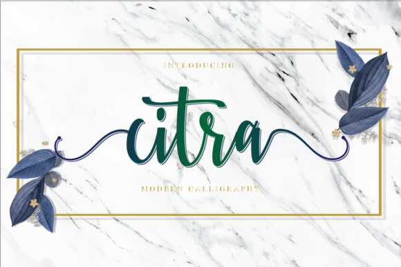Citra Font - Featured Image