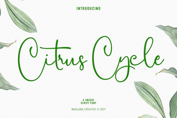 Citrus Cycle Script Font - Featured Image