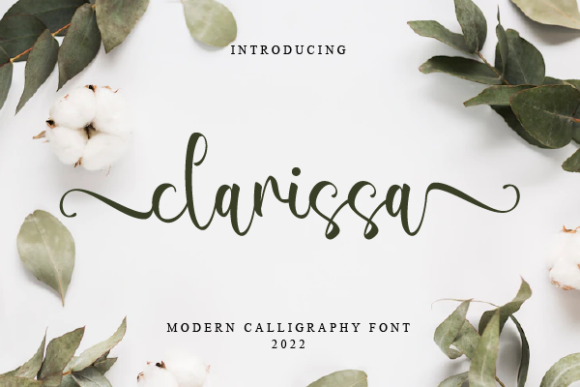 Clarissa Font - Featured Image