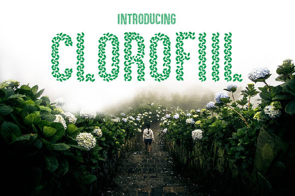 Clorofil Font - Featured Image