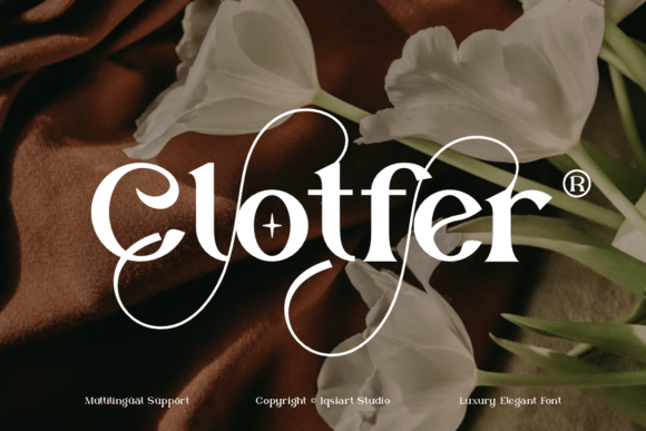 Clotfer Font - Featured Image
