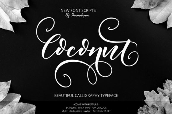 Coconut Font - Featured Image