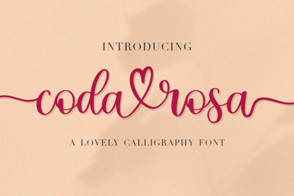 Coda Rosa Font - Featured Image
