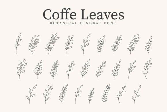 Coffe Leaves Font - Featured Image