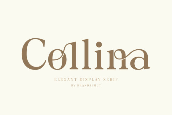 Collina Font - Featured Image