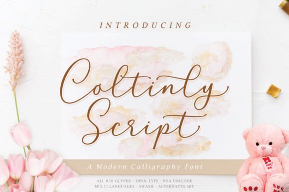 Coltinly Script Font - Featured Image