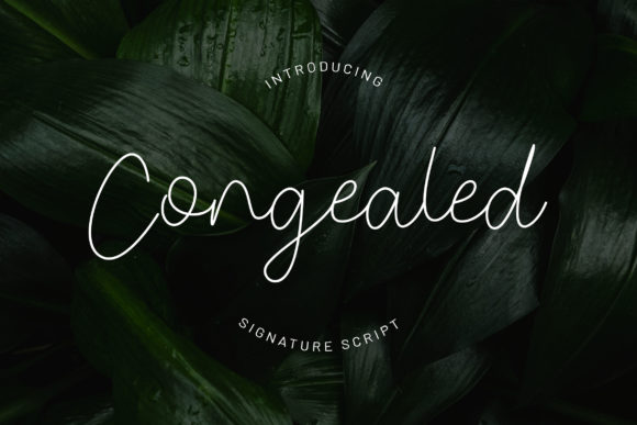 Congealed Font - Featured Image