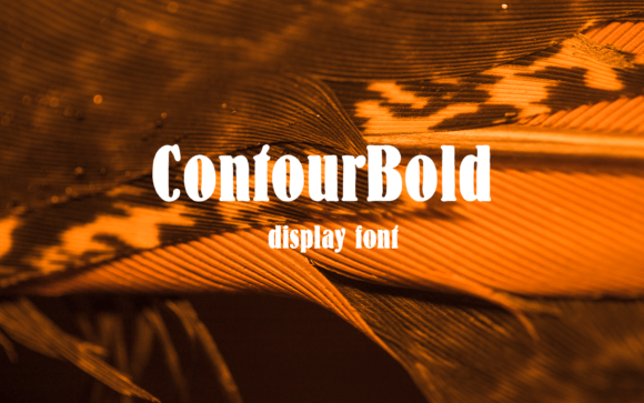 Contour Bold Font - Featured Image